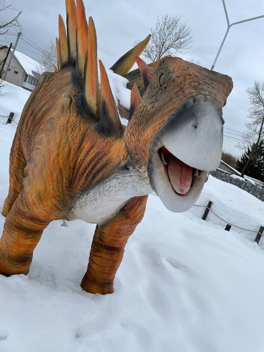 - Ты не вынес мусор!!!!!!!