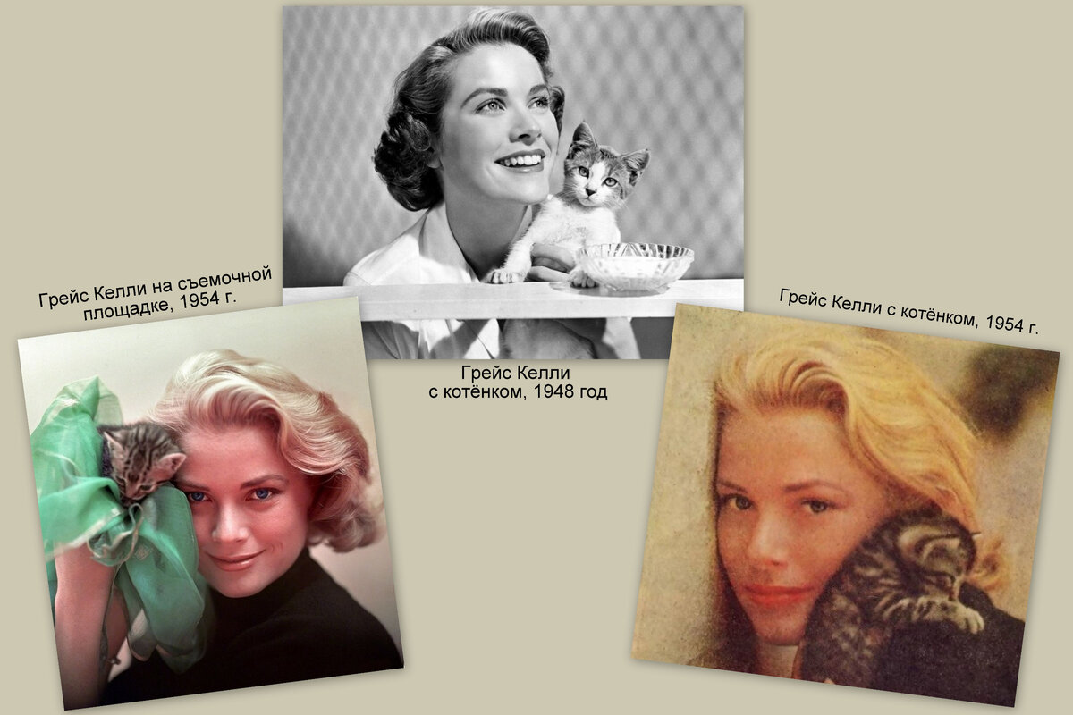 Грейс Келли с кошками. Коллаж автора
