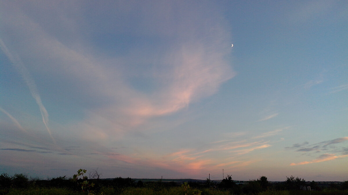 Восхитительный Июль! Фото автора.