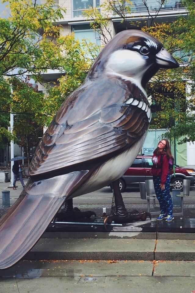 В качестве  открытки, тематическая фотография из Ванкувера, Канада. На обеих Америках домовые воробьи изначально не жили,  а пришли следом за человеком. Это тот случай, когда домовый воробей является инвазивным видом, который конкурирует с местными птицами за еду и места для гнездования. Фото: Вероника Самоцкая