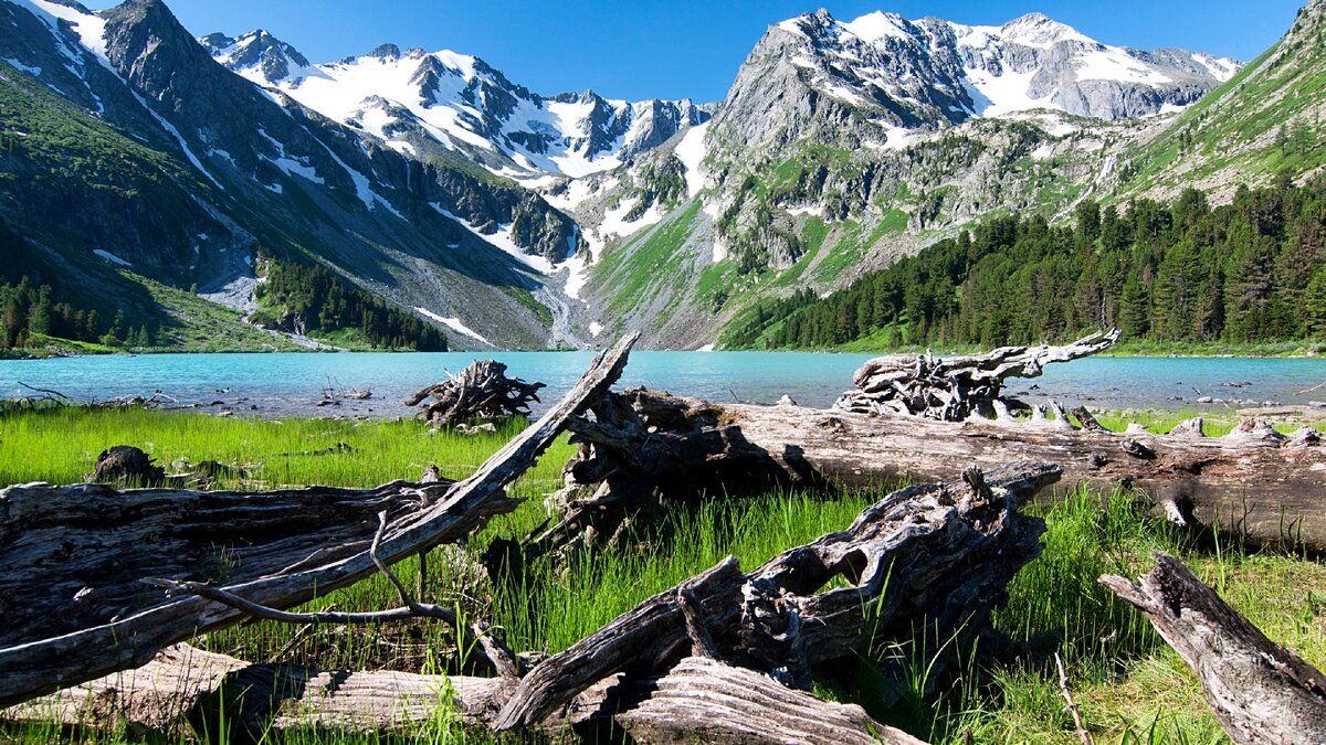 Алтай, изображение взято с canva.com