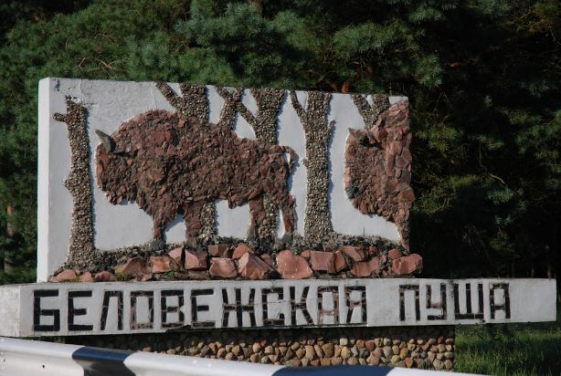 Фото из открытых источников