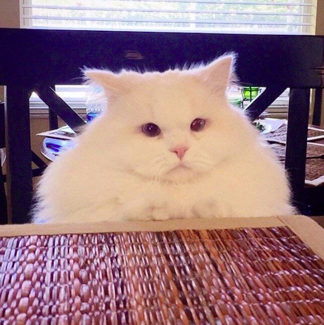 Источник: www.reddit.com