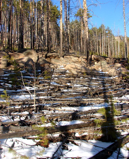 те самые места зимою 10 лет спустя...