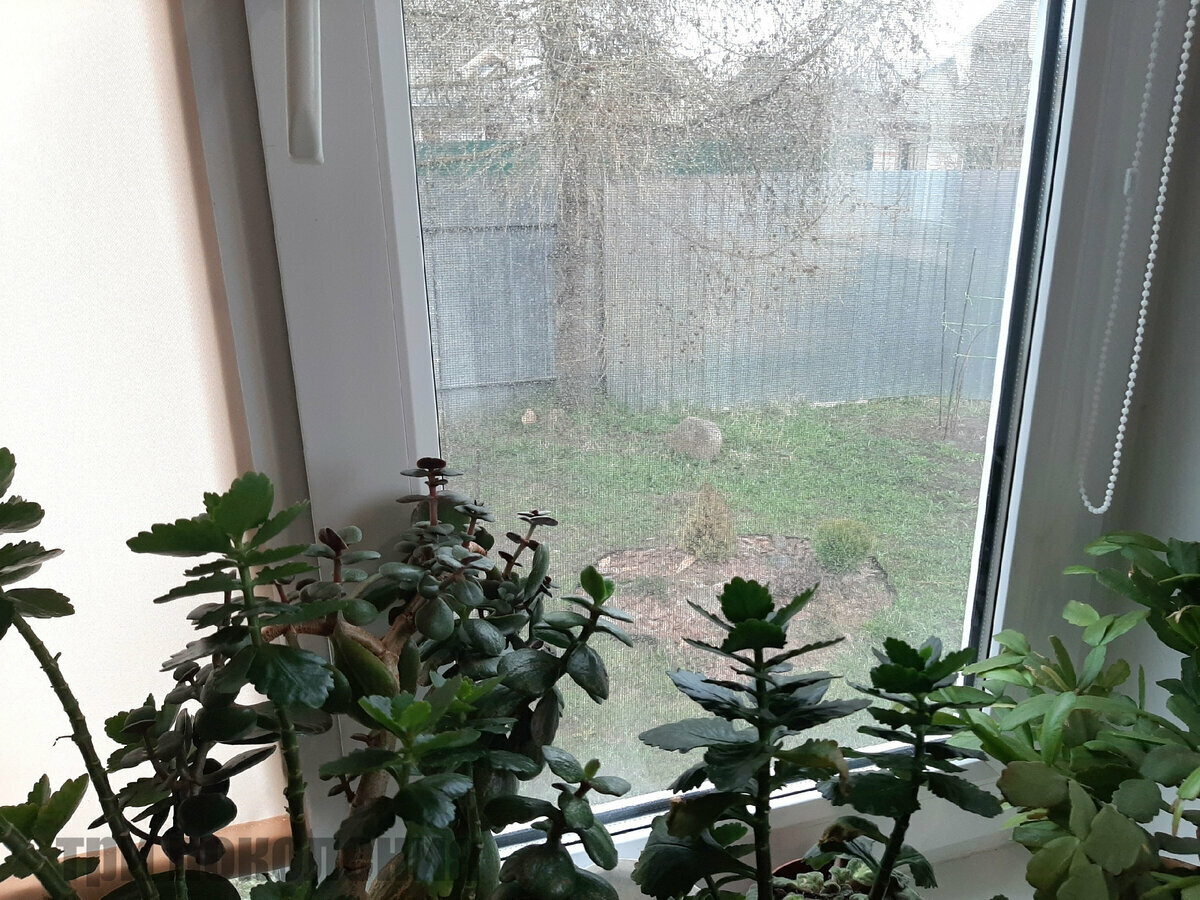 Добавьте описание