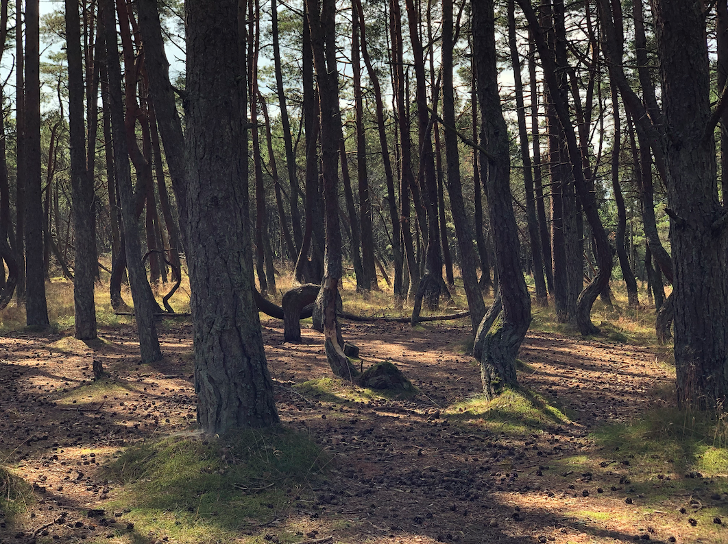 © Надежда Малахова