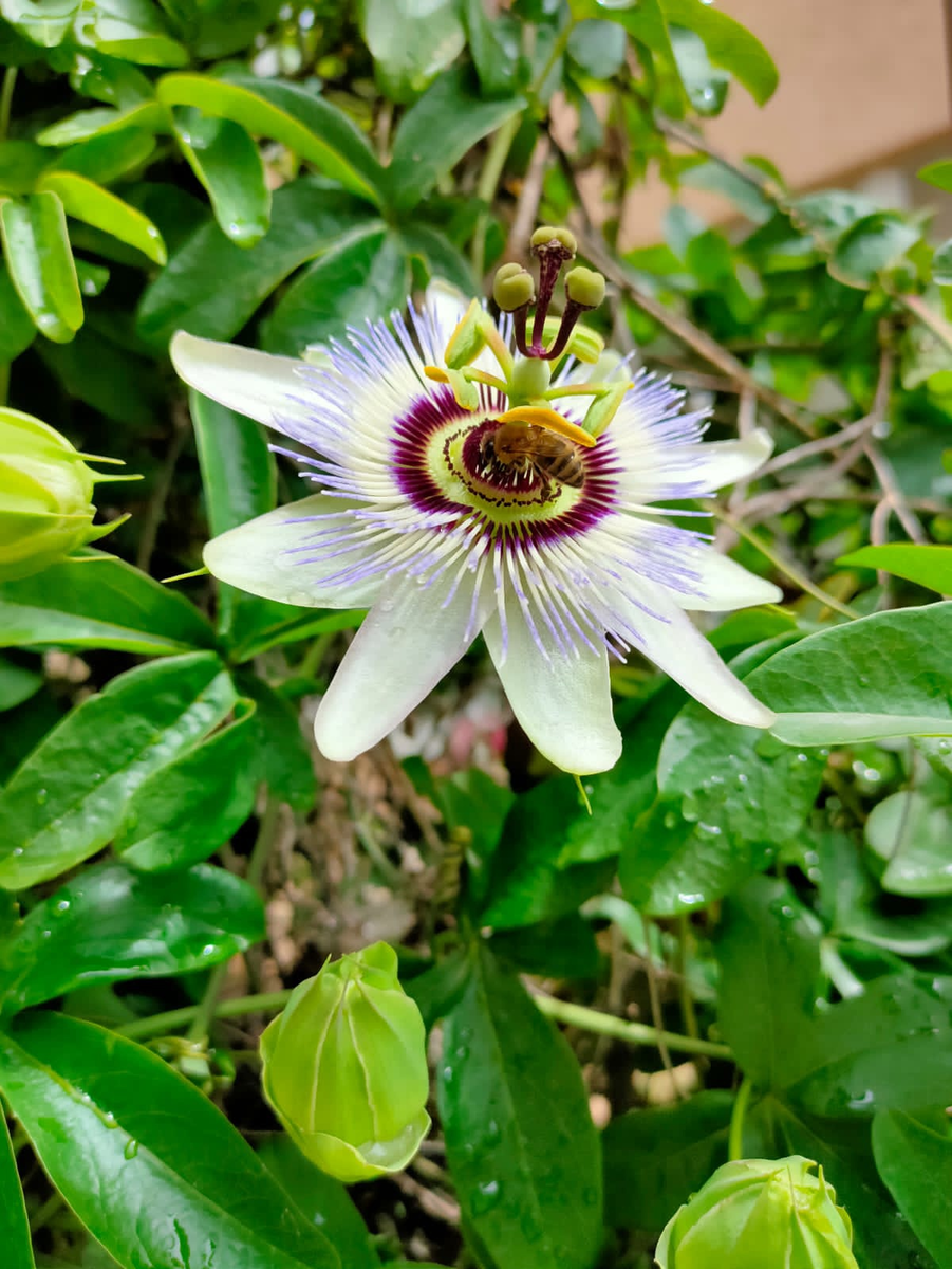 Фото взято из окрытых источников 