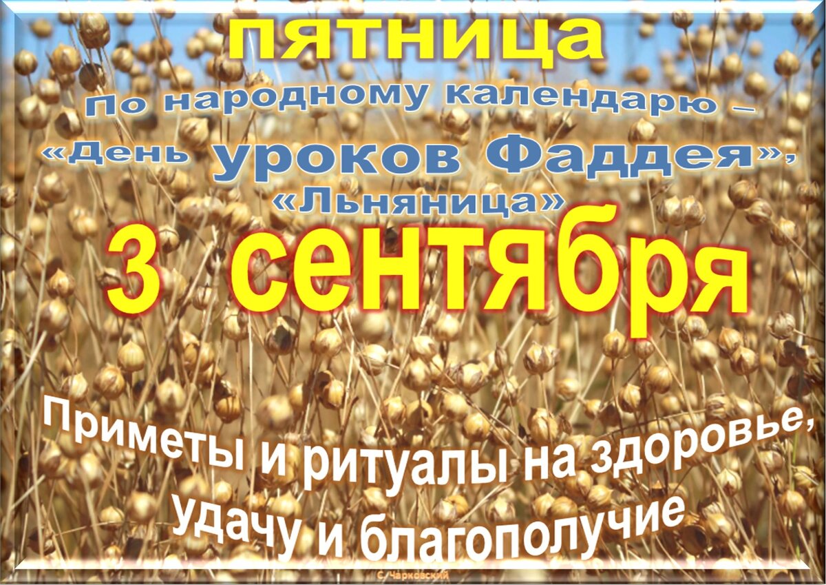 Встречаем новый день