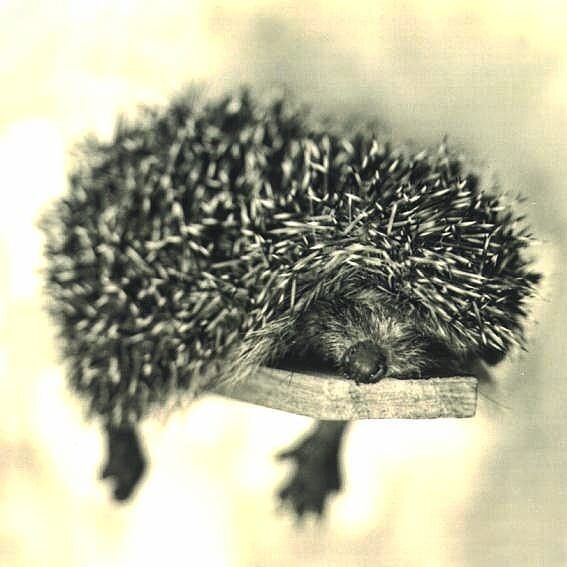 #мнение_психолога 💮