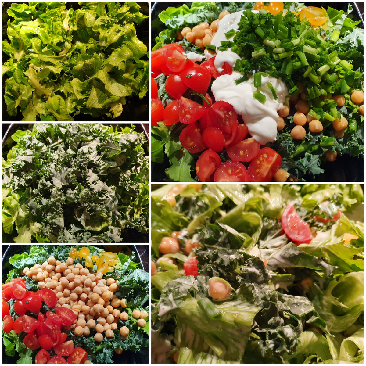 Эволюция салата