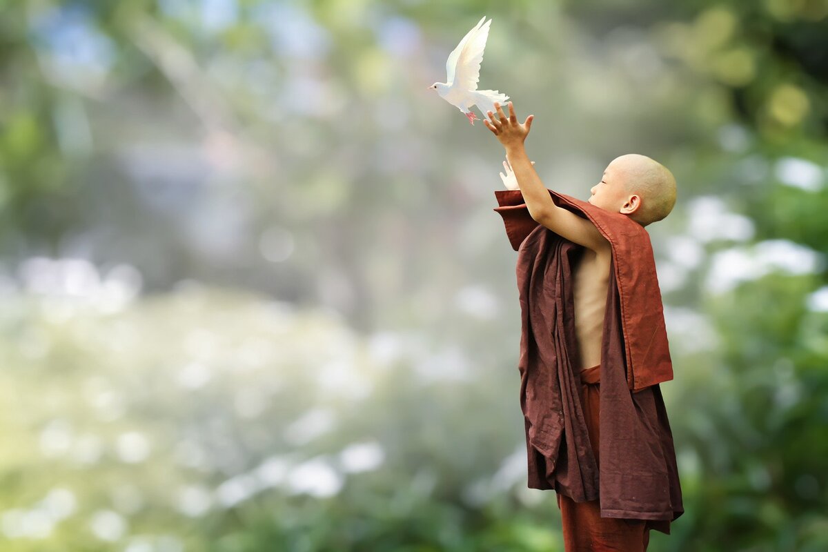 Фото: pixabay.com