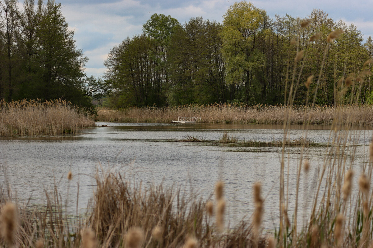 Озеро Афанасьевское 