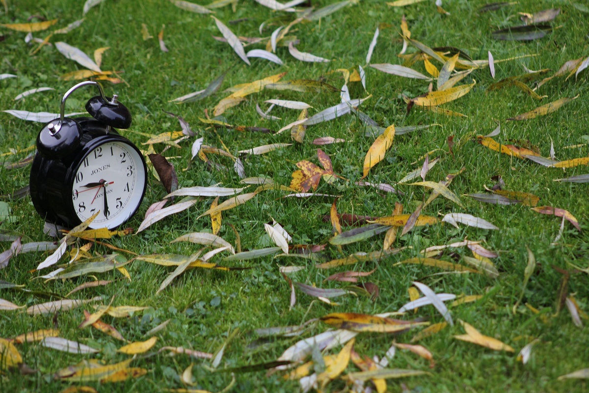 Песня последние корабли на часах осень. Garden of time перевод.