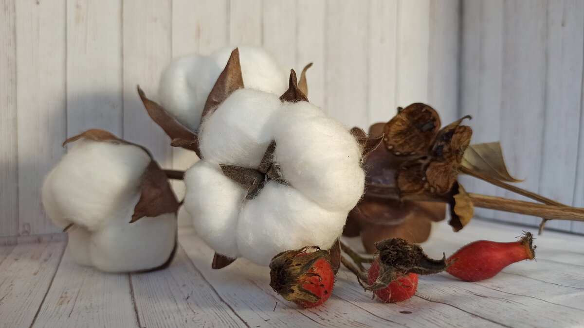 Цветок хлопка своими руками. Не отличить от настоящего! / Cotton flower with your own hands.