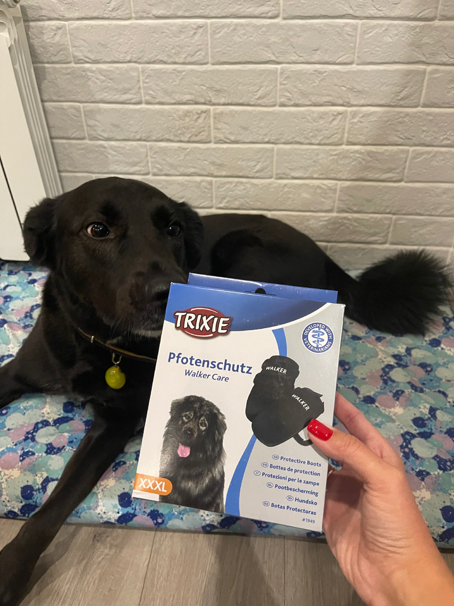 Специальные носочки на лапки.