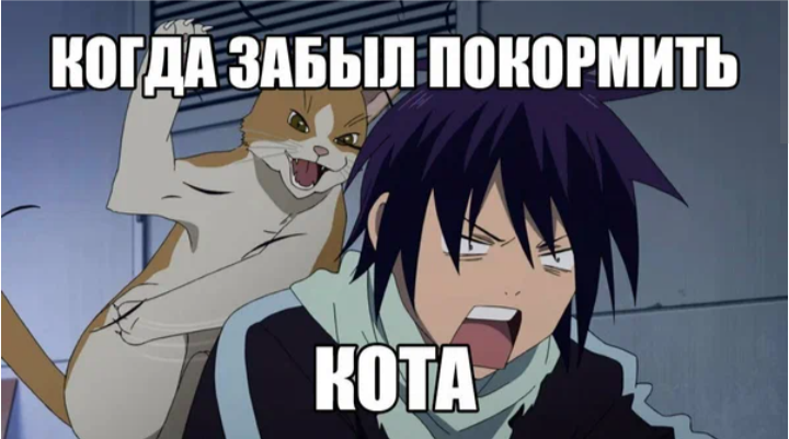 А он тебя потом всю ночь ЖРЁТ падла! 