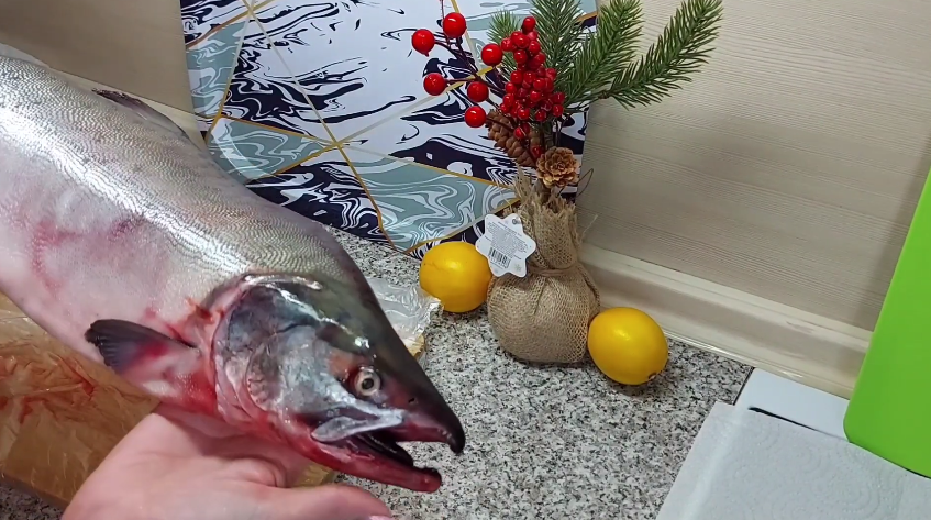 Осмотр горбуши перед приготовлением