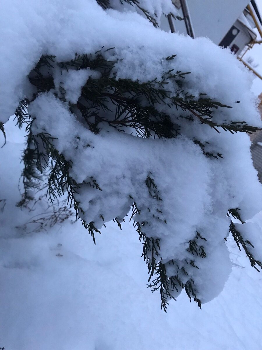 Зимняя пора!