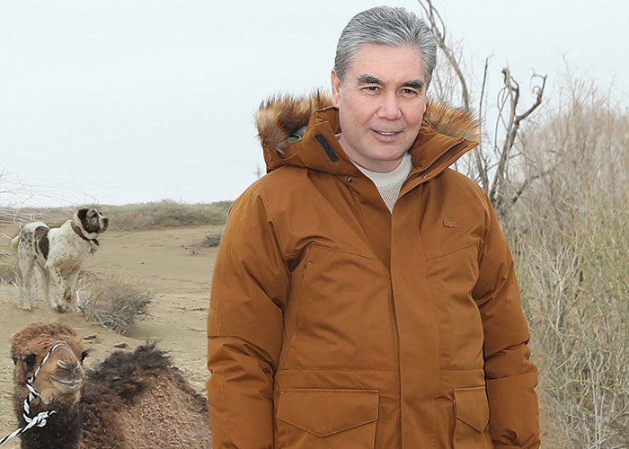 Источник фото: tdh.gov.tm