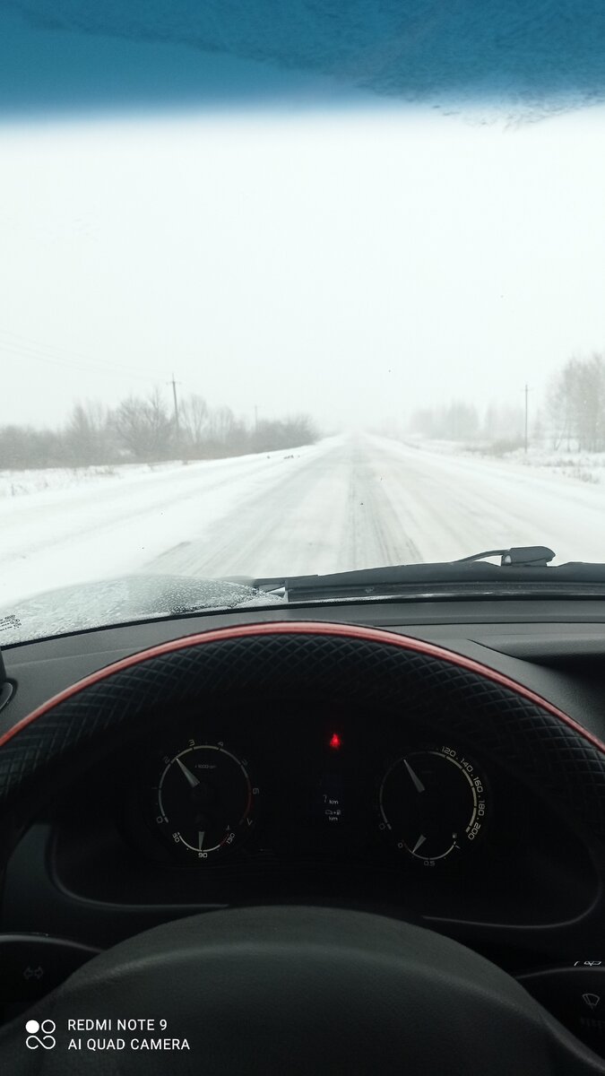 Пока ехали увидели куропаток на обочине, но они быстро убежали. 