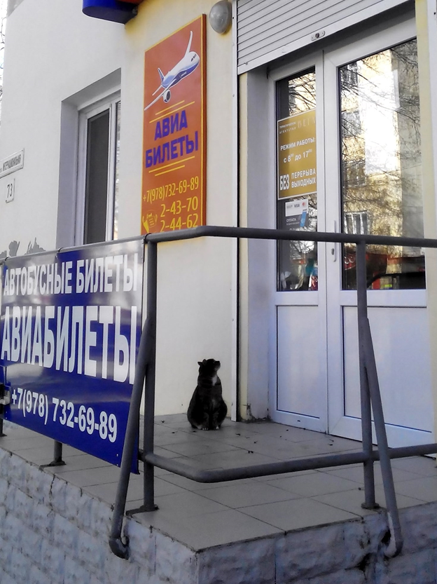 Фото автора.