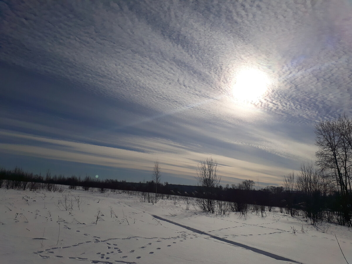 Не устаю любоваться природой