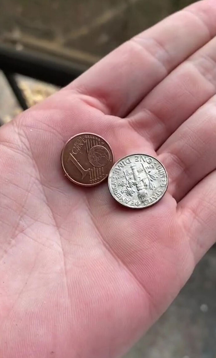 А началось всё банально. Вороны облюбовали дерево возле дома женщины, и своим карканьем доставляли ей беспокойство. Сначала она пыталась гонять их палками и камнями, но это ни к чему не привело.-2