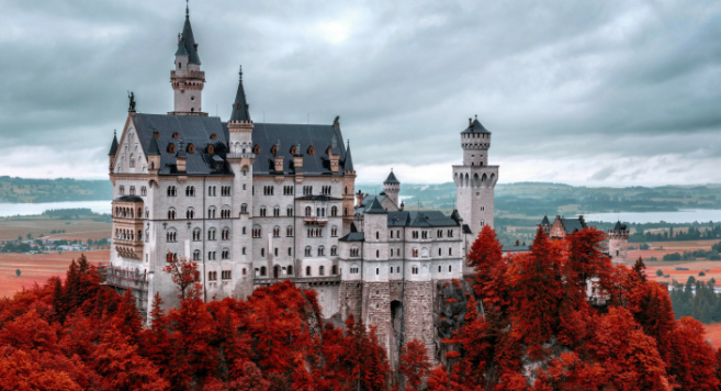 Фото из открытого источника