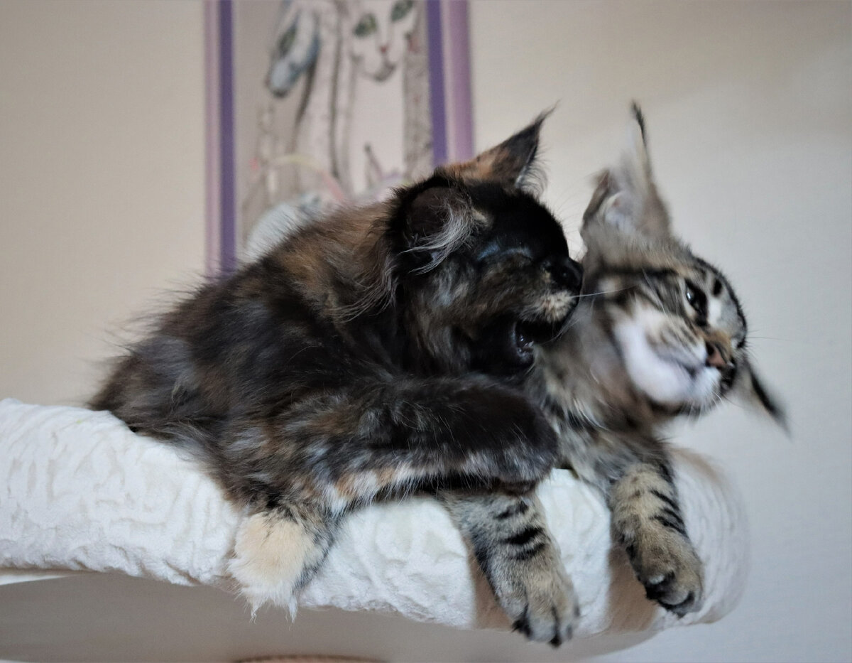 Фото из личного архива.