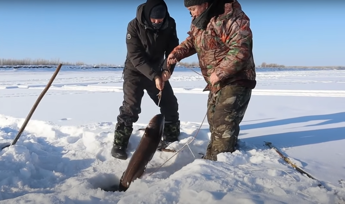 Иностранцы посмотрели русское видео про подледную рыбалку в минус 35. Их  реакция | Иностранцы о России | Дзен