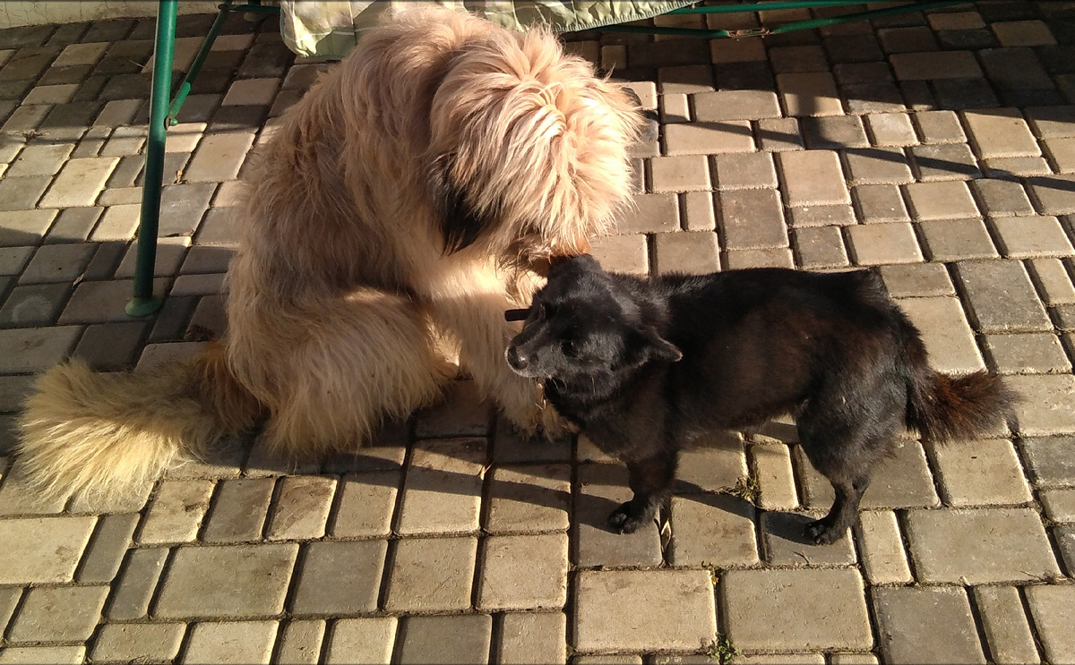 Потому что друзья.