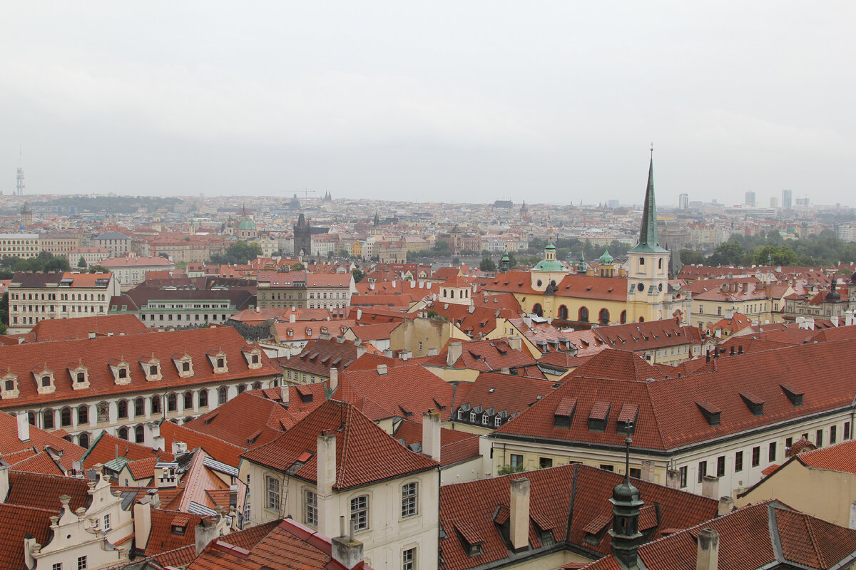 Фото: Игорь Мартынов.