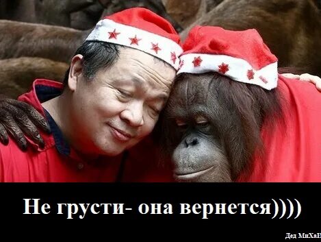Друг не бросит в беде.                                                                                                            Фото из свободного доступа.
