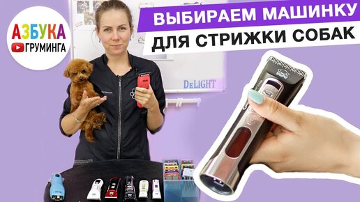 Как выбрать машинку для стрижки собак? Для дома или для Профи? Скупой платит дважды