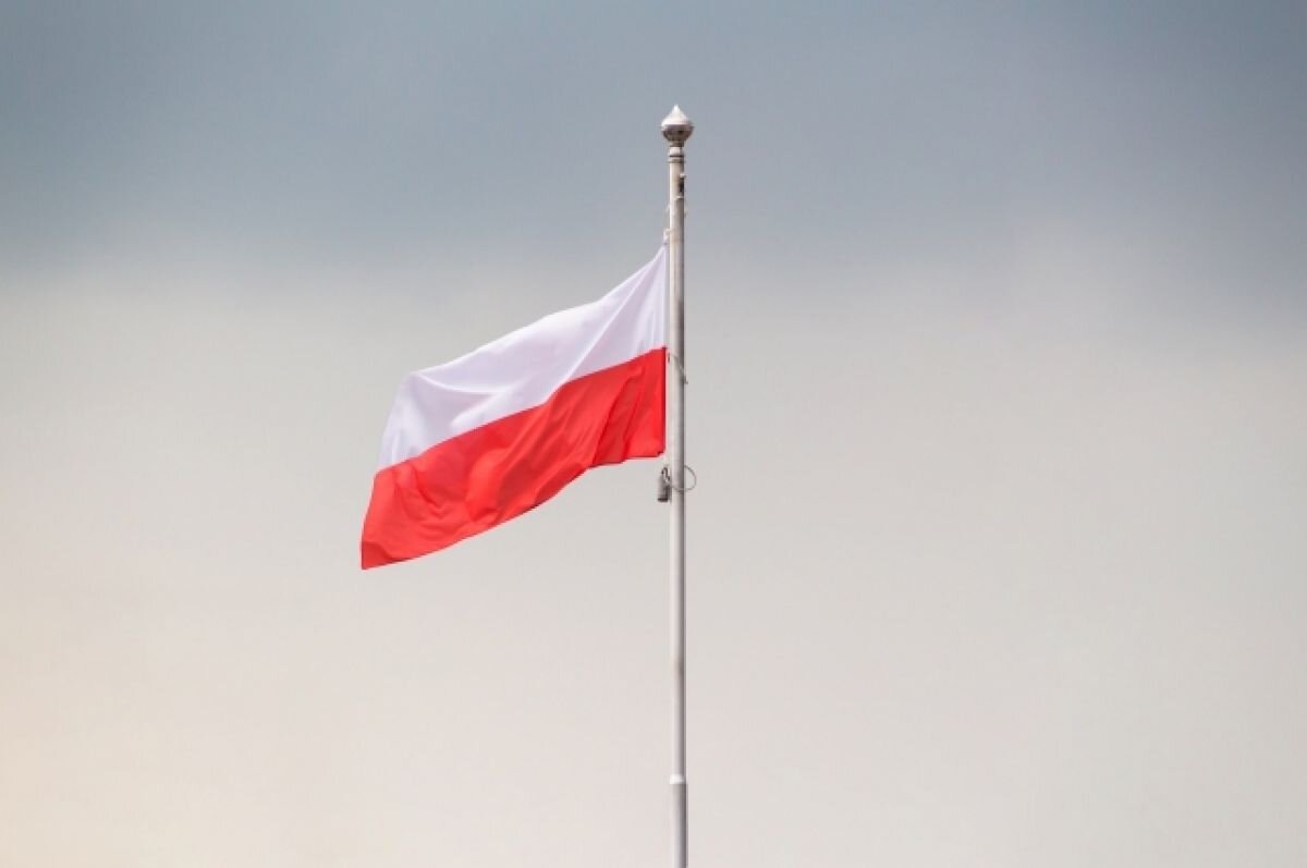    Политолог оценил претензии Польши к РФ по репарациям