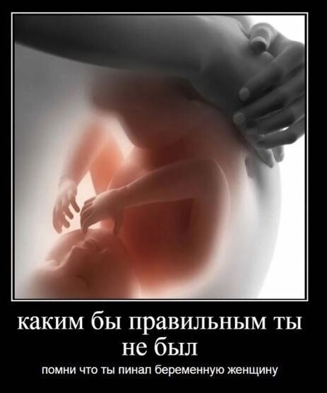Просто мемасик из интернета