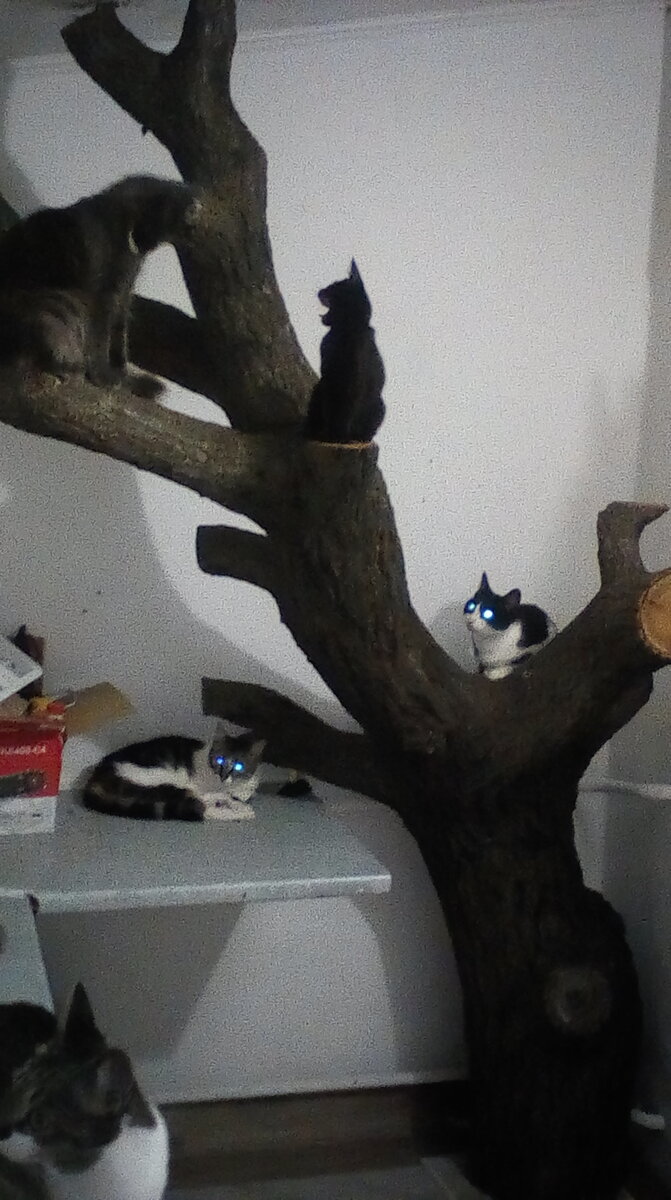 Тут еще недоделанный вариант, нет большой боковой ветки по стене справа и нет намотки из верёвки на переднем плане. Но достаточно хорошо видно основание, этот момент далее опишу по тексту.
