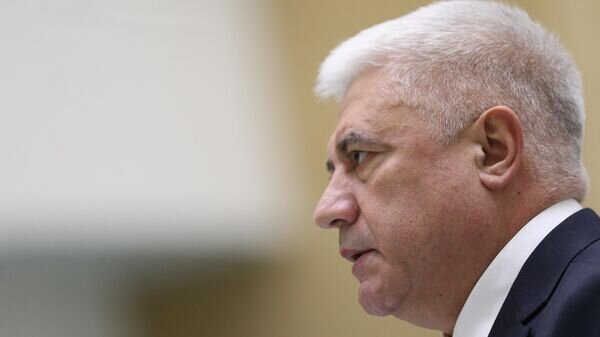   © Пресс-служба Совета Федерации РФ