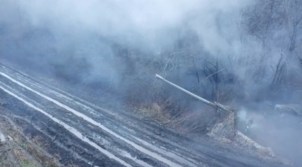 Фото: Скриншот видео Минобороны РФ