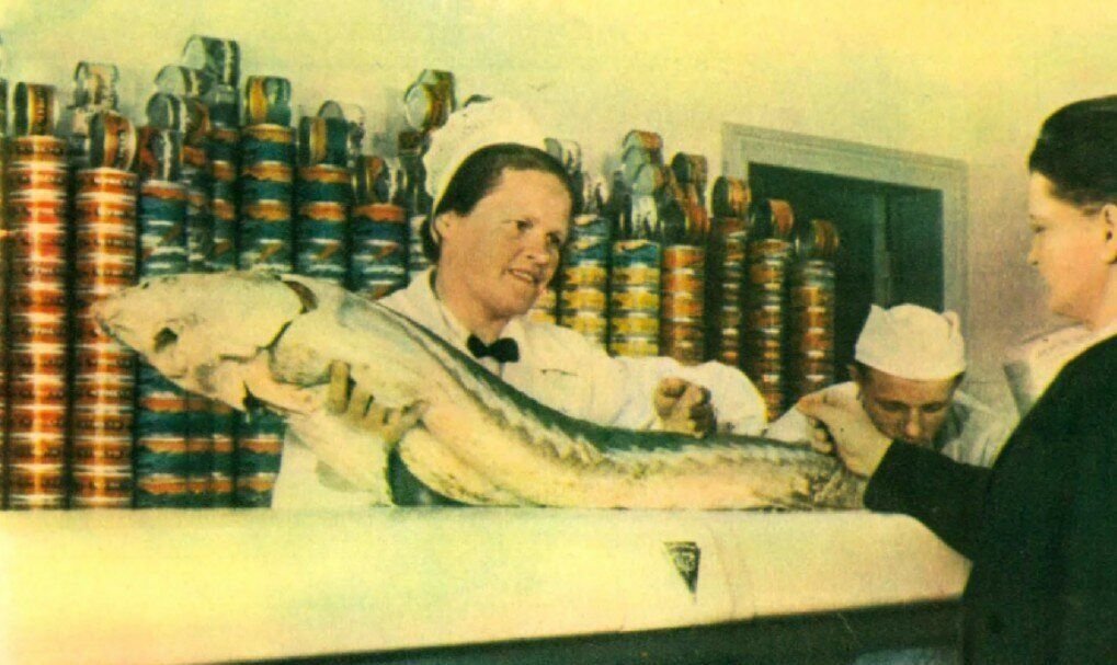 Рыба в СССР. фото liveinternet.ru