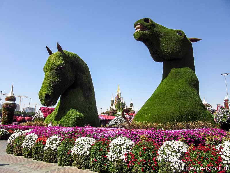 Парк цветов Dubai Miracle Garden