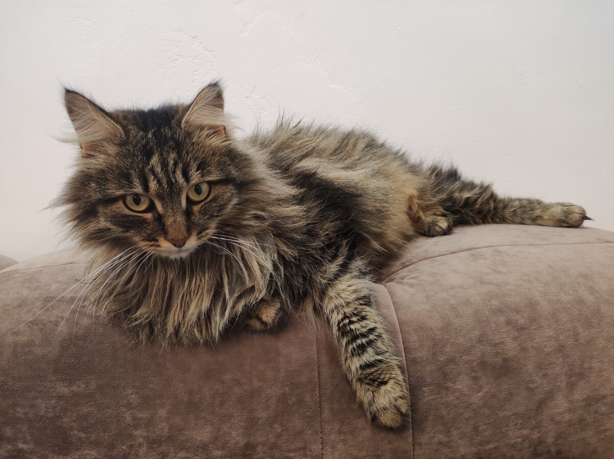 Сирень Бабаева/АиФ