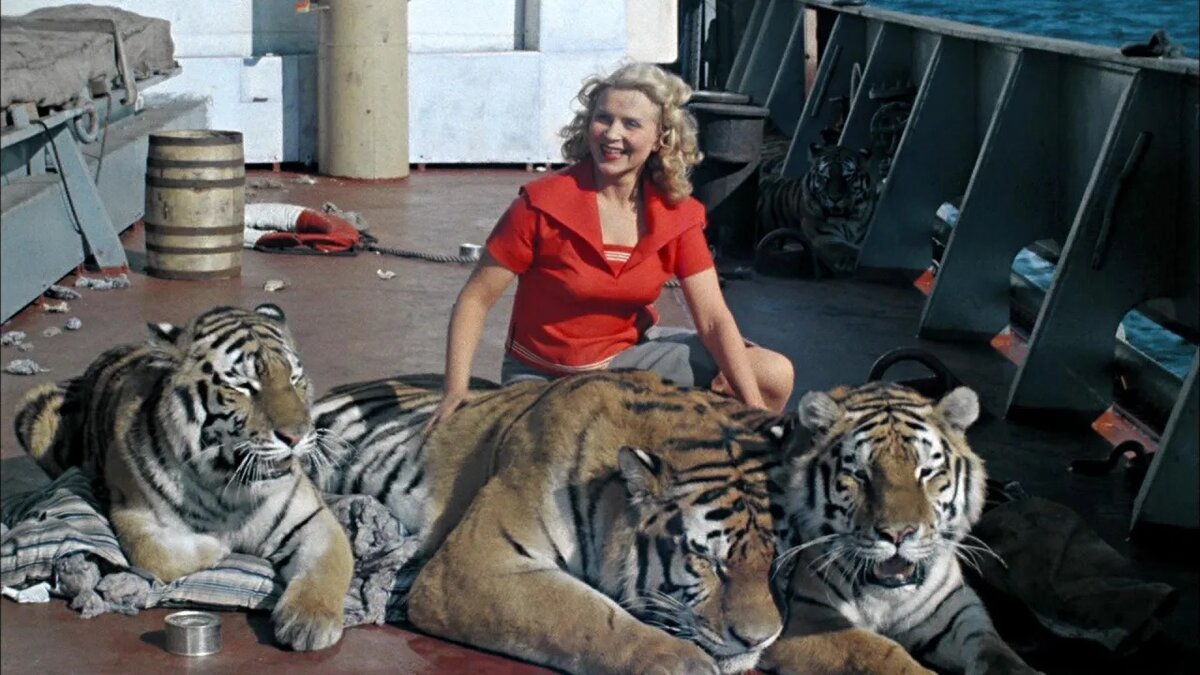 Кадр из фильма "Полосатый рейс", к/с «Ленфильм», 1961, реж. В. Фетин.