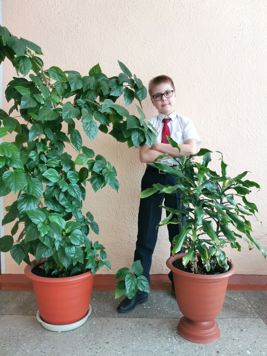 Фото автора канала 