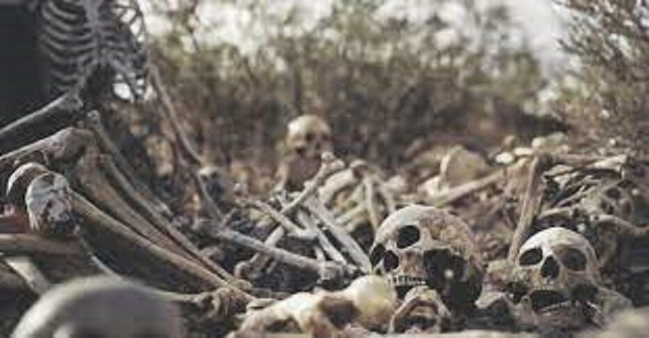 Фото из открытых источников...