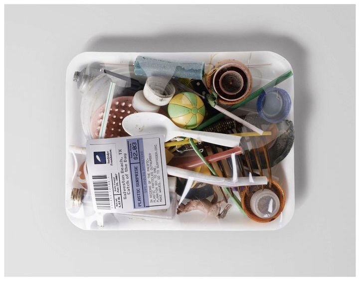 Photo 'Catch of the Day' by Surfrider Foundation