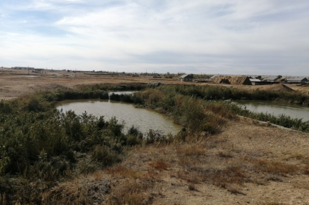    В Оренбуржье задержан бизнесмен за "теневые" заработки