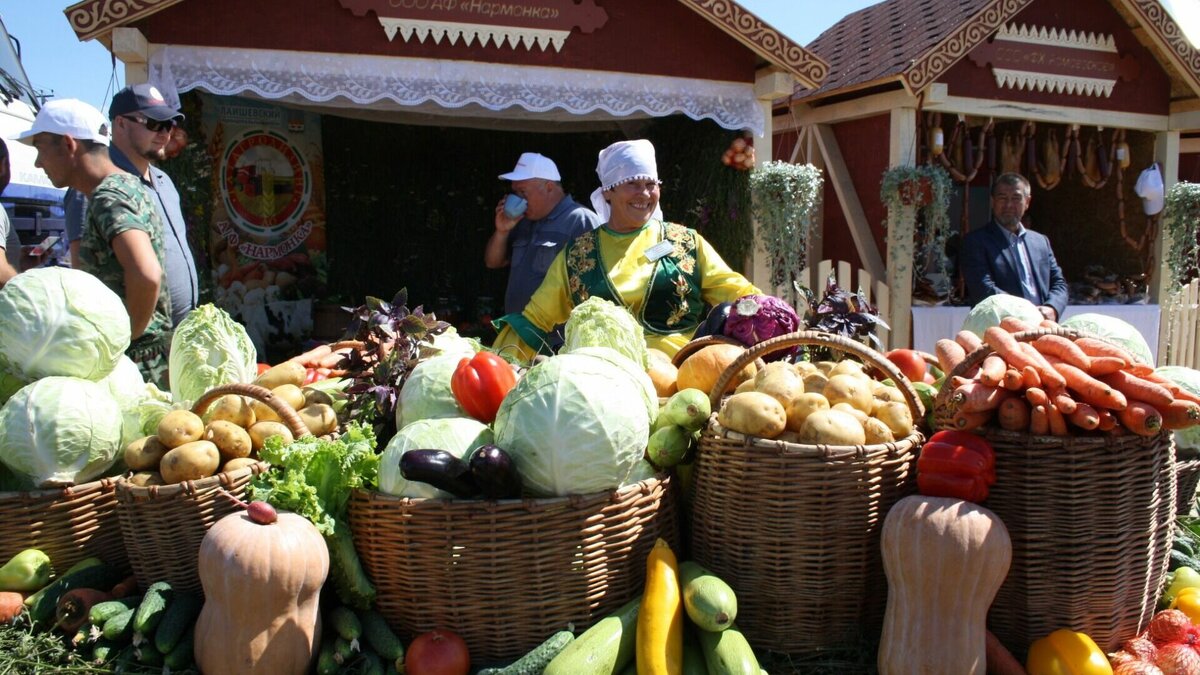     В Татарстане большинство продуктов продолжают дорожать. В частности, наибольший рост стоимости показывают овощи. Об этом говорится в данных Татарстанстата за период с 9 по 16 января.