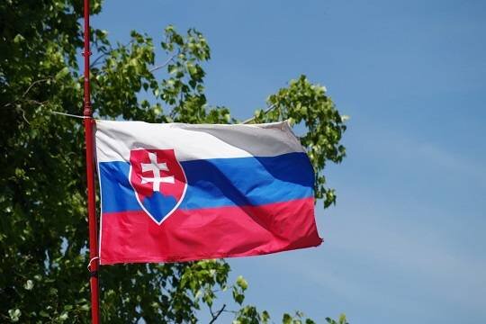    Граждане Словакии проигнорировали референдум об изменениях в конституцию