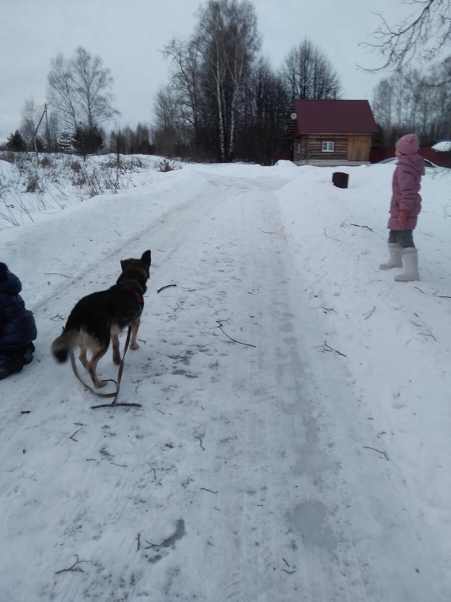 Фото автора. 